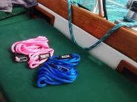 40 Foot Swimming Dog Slip Leash 1/2" Round