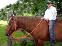 Horse Split Reins - 5/8" Horse Split Reins - 5 ft. Horse Split Reins 5/8 in. Round with Nickel Plated Hardware