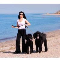 Dogs - Dog Leashes for Two Dogs