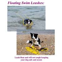 Dog leashes for beaches, dog swim leash with stainless steel spring snap hook