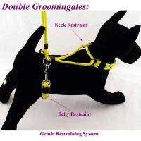 Dogs - Dog Grooming Supplies - Dog Grooming Harness - Double Grooming Harness