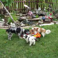 Mesh Duffle Storage Bag for Dog Accessories