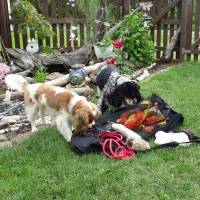 Mesh Storage Bags for Dog Leashes - Mesh Duffel Bag - Storage for Dog Accessories - Mesh Duffle Storage Bag for Dog Accessories
