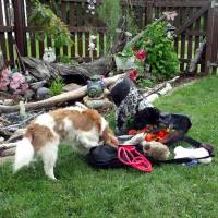 Mesh Duffle Storage Bag for Dog Accessories