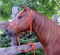 8 ft. Horse Lead Rope 1/2 in. Round with Nickel Plated Chain Lead