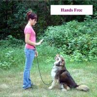 Hunting Dog Leashes and Collars - Hands Free Hunting Dog Leashes - 1/2" Round Hands Free Hunting Dog Leashes (Polypropylene)