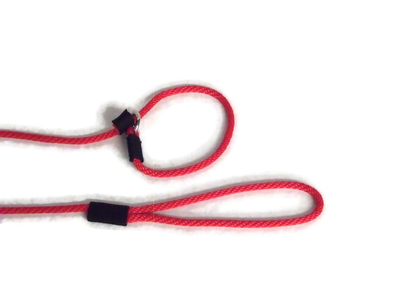 1/4 Round Dog Slip Leash 10 Ft