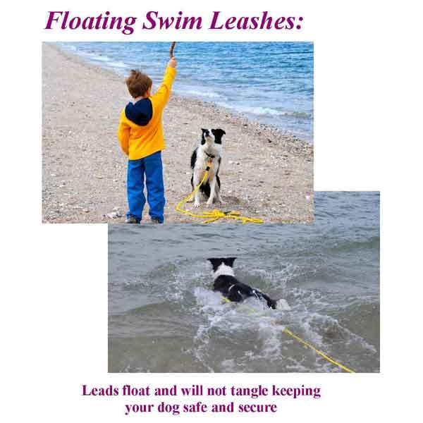 2 Foot Swimming Dog Snap Leash 1/4" Round