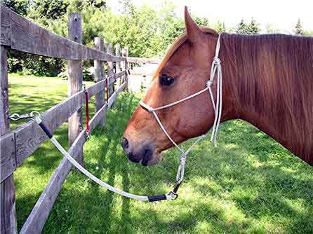 4 ft. Horse Trailer Tie 1/2 in. Round with Nickel Plated Bull and Panic Snap
