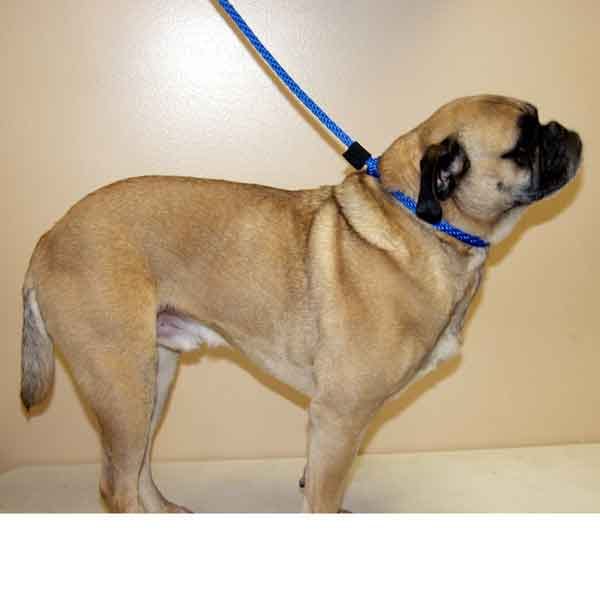 15' Round Slip Leash 1/2"