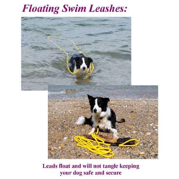 30 Foot Swimming Dog Slip Leash 3/8" Round