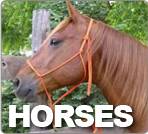 Horse Supplies, Horse Ropes, Horse Leads