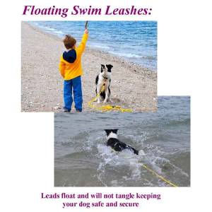 1/4” Polypropylene Swimming Dog Snap Leash 8 Ft