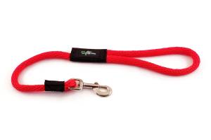 2 foot long dog snap leashes