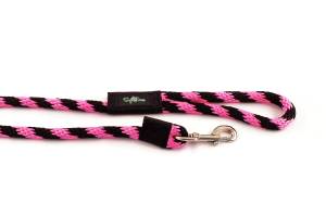 20 foot long dog snap leashes