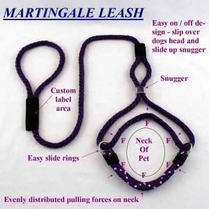Small Dog Slip Lead/Martingale Leash 10 Ft - Nylon 3/8” Round