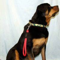 Dog leashes, 3/8" short traffic dog snap leash