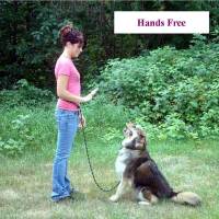Dog leashes for training, arthritic and handicap friendly leashes dog leashes, multi purpose dog leash shown hands free