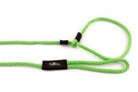 3/8 Round Dog Slip Leash 10 Ft