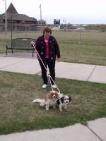 Dogs - Splitter Leashes for Two Dogs - 1/4" Diameter