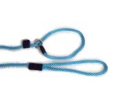 small dog slip leash