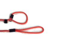 7' small dog slip leash