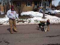 Soft Lines, Inc. - 8' "No-Tangle" Splitter Round Snap Leashes 1/2" - Image 4