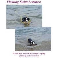 Stainless Steel Spring Hook Leashes - 1/2" Diameter - Soft Lines, Inc. - 10 Foot Swimming Dog Snap Leash 1/2" Round